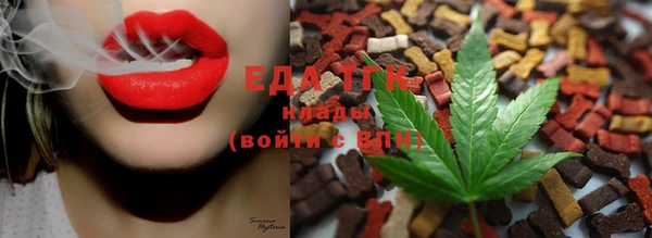СК Волоколамск