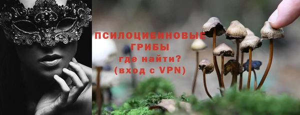 СК Волоколамск