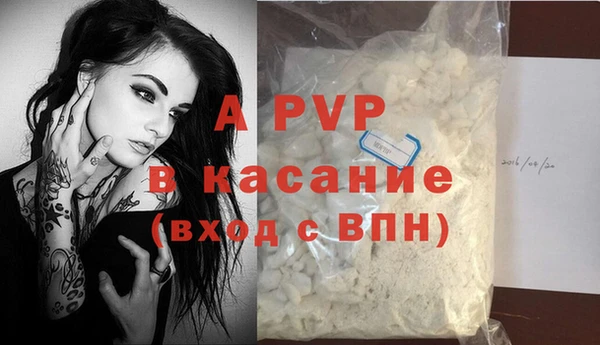 СК Волоколамск
