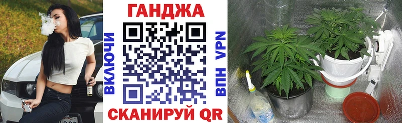 Бошки Шишки MAZAR  продажа наркотиков  Чернушка 